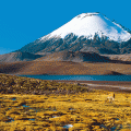 atacama