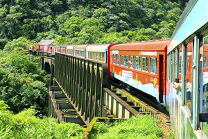 Travels to Brazil Atlantic Rain Forest Train